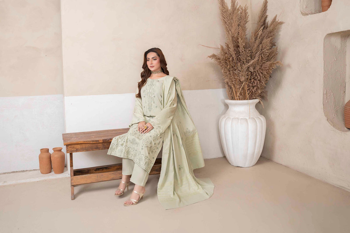 Mint Green Luxury Dhanak Suit With Velvet Shawl 3-Piece Suit – Unstitched